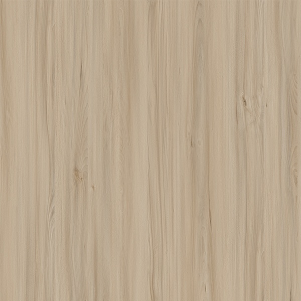 E11027 Buche