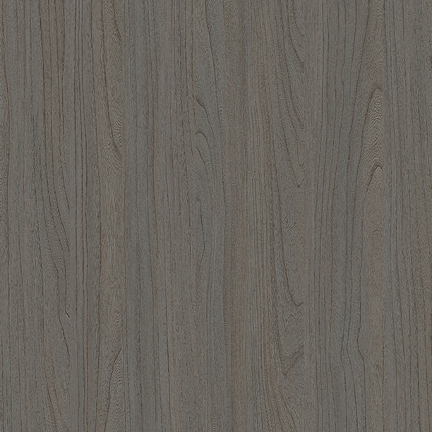 E11024 ALTER DRAGRANTEL ELM